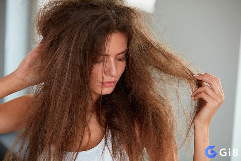 Dự báo tùy vào từng bối cảnh xảy ra