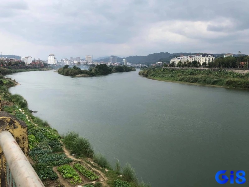 Giải mã giấc mơ dựa vào những tình tiết được diễn ra trong mơ