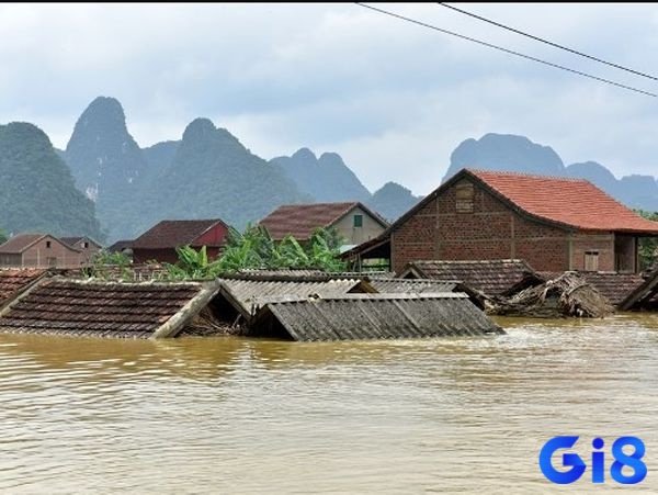 Chiêm bao có thể ẩn chứa điềm lành hay dữ tùy tình tiết mơ