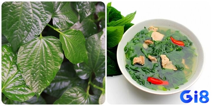 Mơ thấy lá lốt là điều quen thuộc nhưng lại rất thú vị