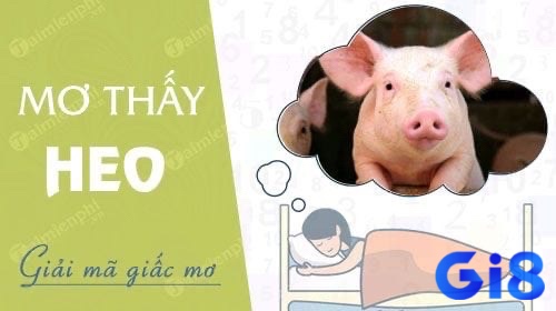 Cùng gi8 tìm hiểu về mơ thấy lợn trắng đánh đề con gì nhé