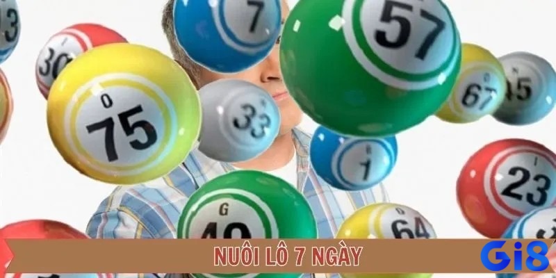 Sử dụng phần mềm thống kê để nuôi lô khung 7 ngày