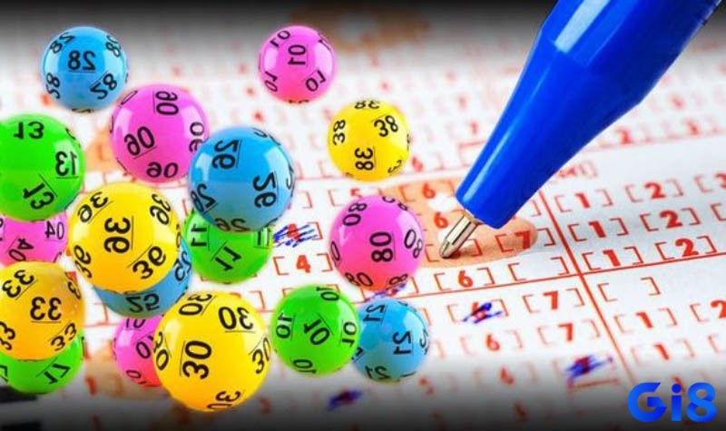 Những mẫu số phổ biến trong cách nuôi lô khung 7 ngày