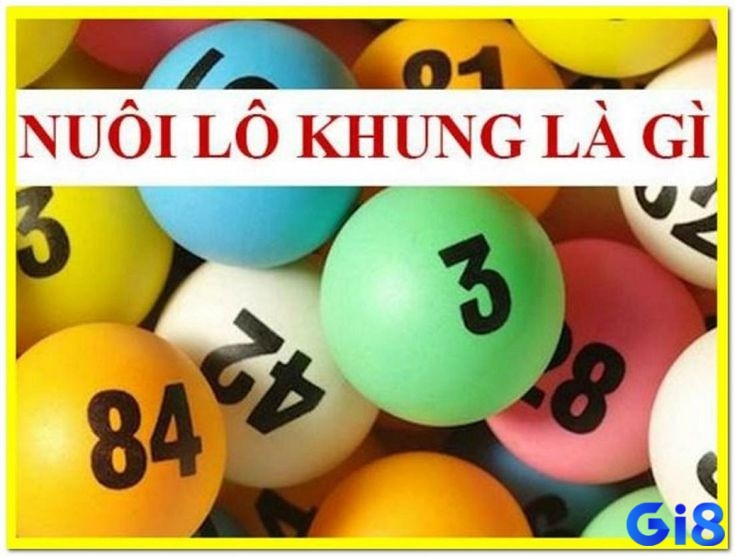 Thông tin tổng quan về cách nuôi lô khung 7 ngày