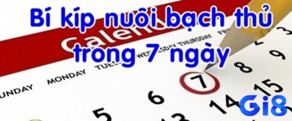 Khai niệm về cách nuôi lô khung 7 ngày