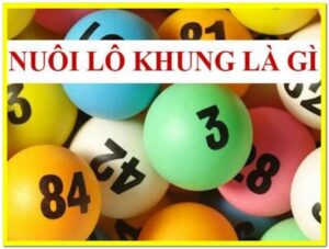 Cách nuôi lô khung 7 ngày hiệu quả cho người mới bắt đầu