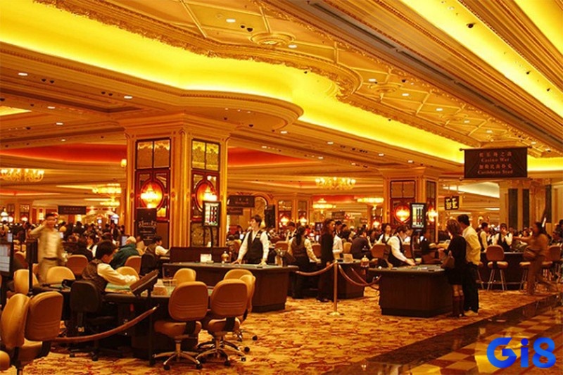 Những loại hình casino được phép tại hoạt động tại Việt Nam khá hạn chế phải đáp ứng nhiều tiêu chuẩn nghiêm ngặt được quy định
